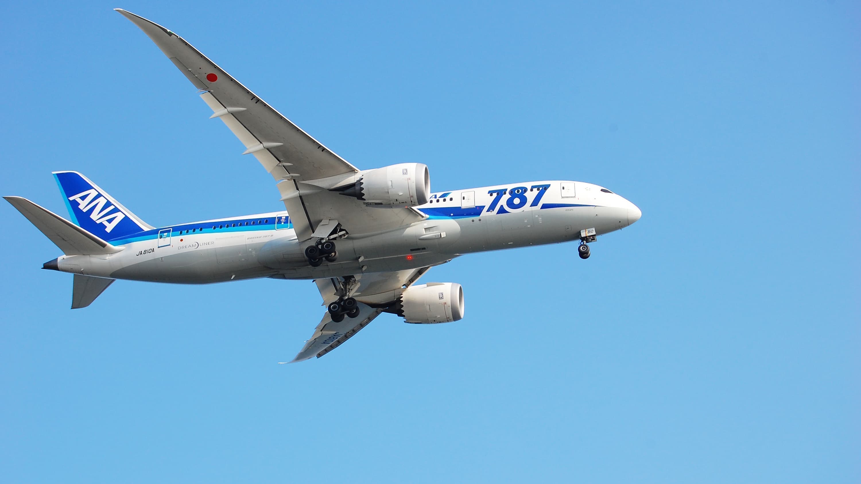 ANA(全日空)で行く熊本格安ツアー一覧