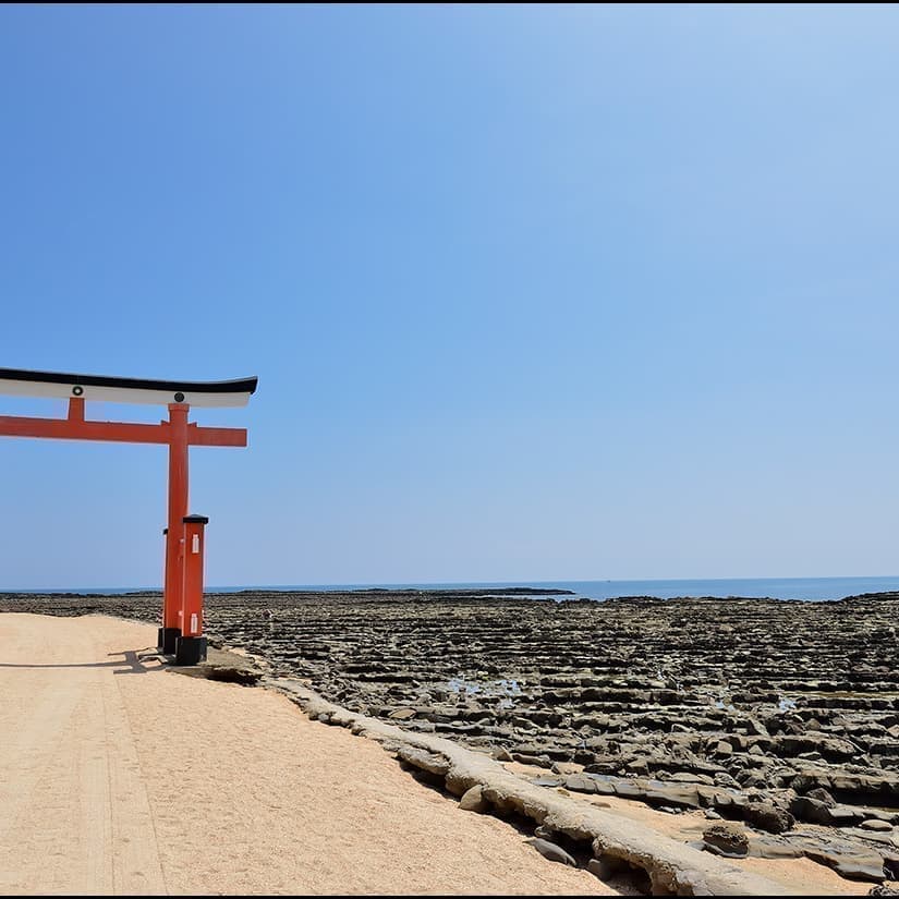宮崎格安ツアー情報