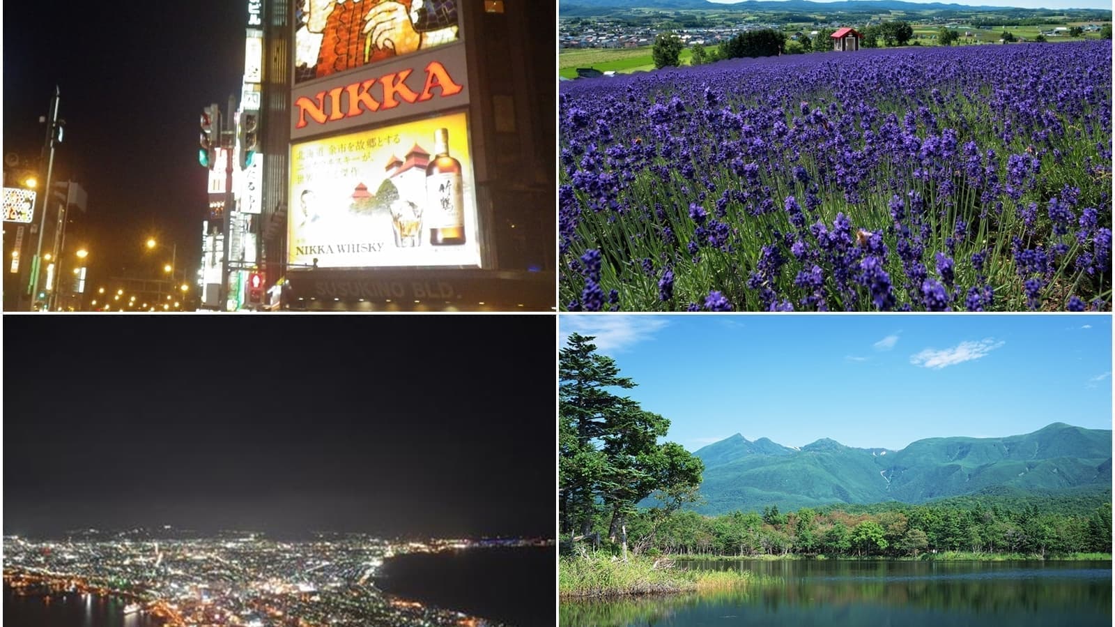 北海道周遊格安ツアー一覧