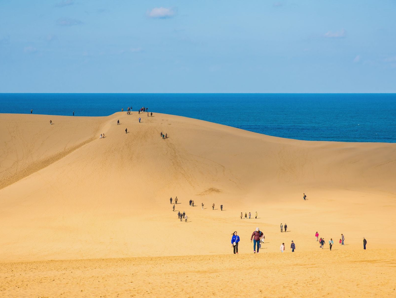 鳥取・米子格安ツアー 鳥取・米子行き格安パックツアー特集