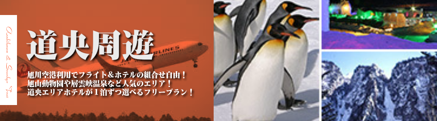 【東京発】旭川・旭岳・層雲峡へ飛行機(JAL)で行く格安ツアー