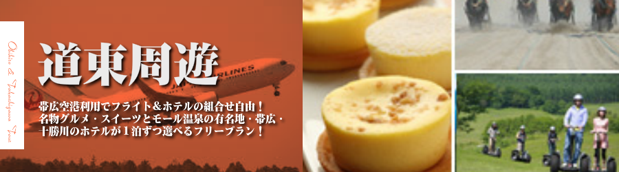 【東京発】帯広・十勝川へ飛行機(JAL)で行く格安ツアー