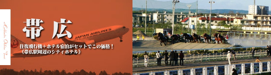 【東京発】旭川へ飛行機(JAL)で行く格安ツアー