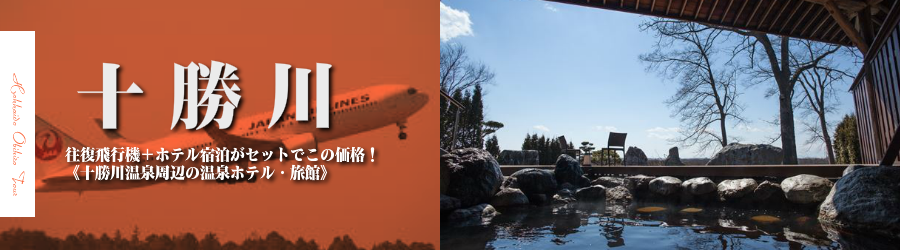 【東京発】十勝川へ飛行機(JAL)で行く格安ツアー