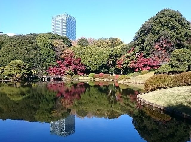 大阪 福岡 札幌発 東京へjal 日本航空 で行く格安出張パック 新宿 四谷周辺ホテル指定フリープラン2日 3日 4日 5日