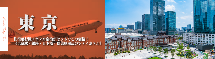東京へ飛行機(JAL)で行く格安ツアー