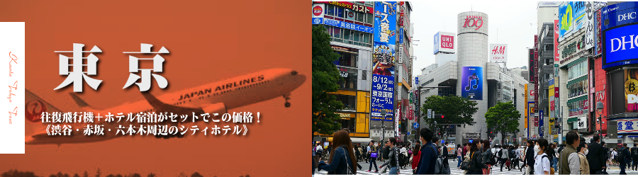 東京へ飛行機(JAL)で行く格安ツアー