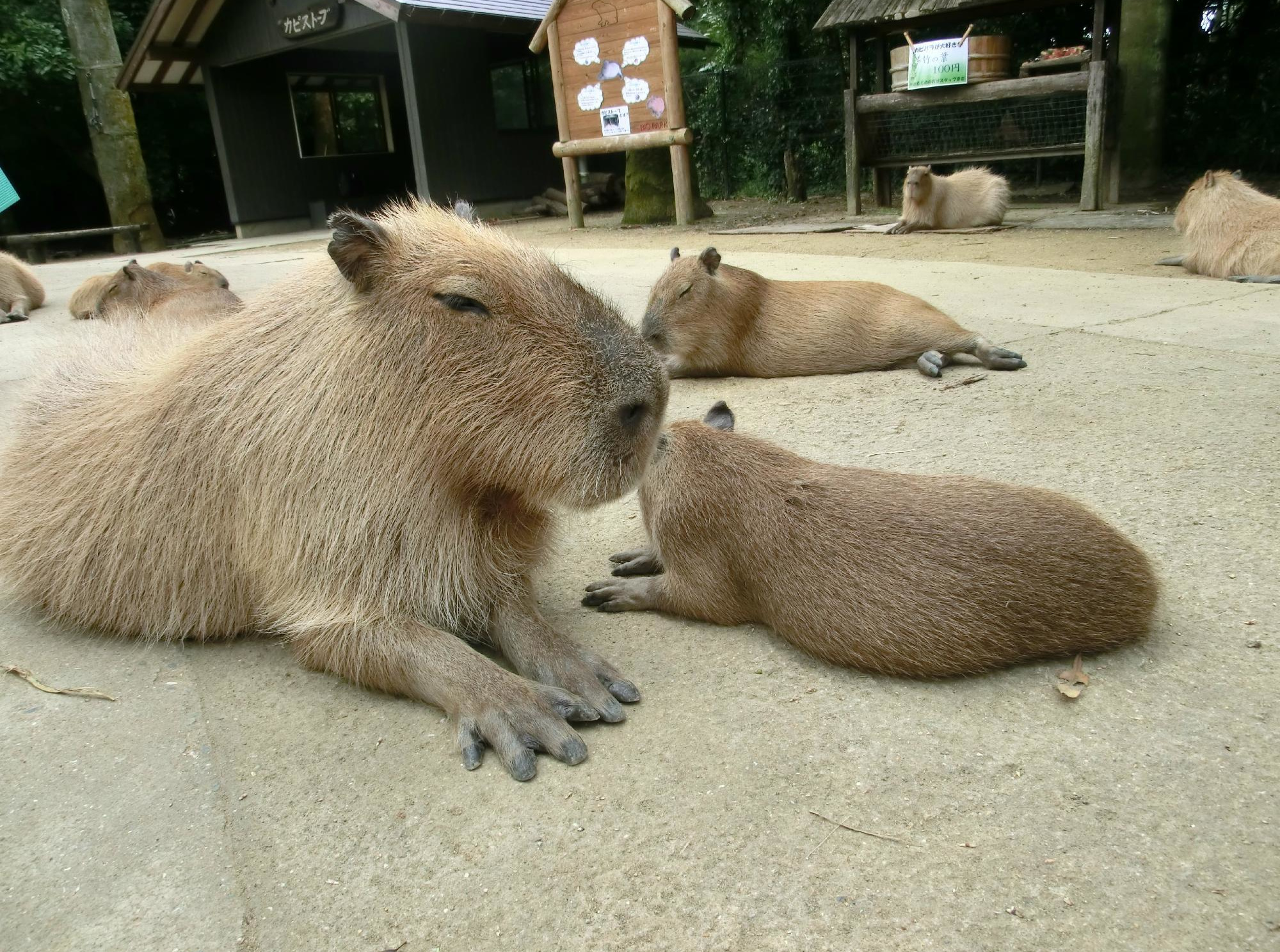 長崎バイオパーク