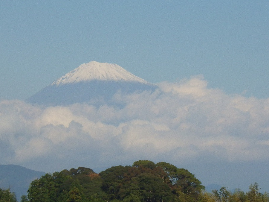 IAIスタジアム日本平