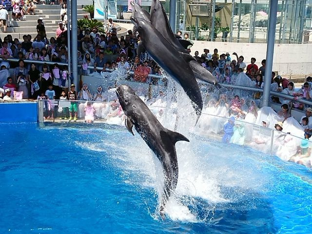 大分マリーンパレス水族館「うみたまご」