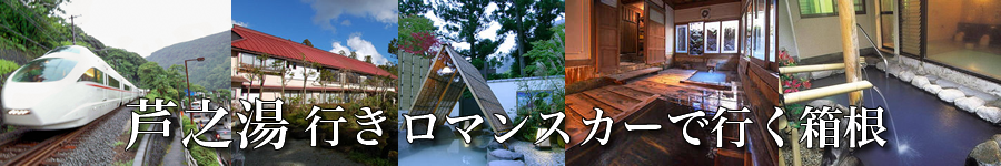 箱根・芦之湯温泉へロマンスカーで行く格安ツアー情報
