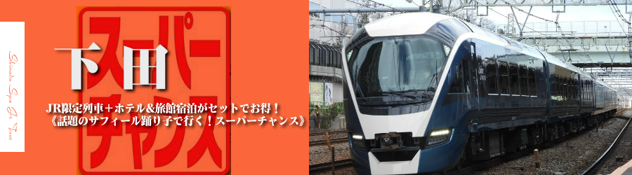 【東京・首都圏発】下田温泉へJRで行く格安ツアー