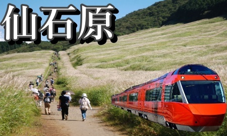 仙石原温泉へ行くロマンスカー+宿泊セットの格安パックツアー