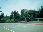 テニスコート
