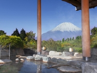 ホテルグリーンプラザ箱根(露天風呂)