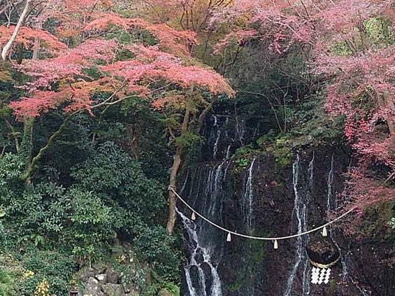玉簾の滝