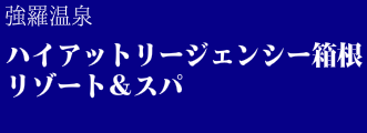 ハイアットリージェンシー箱根リゾート&スパ