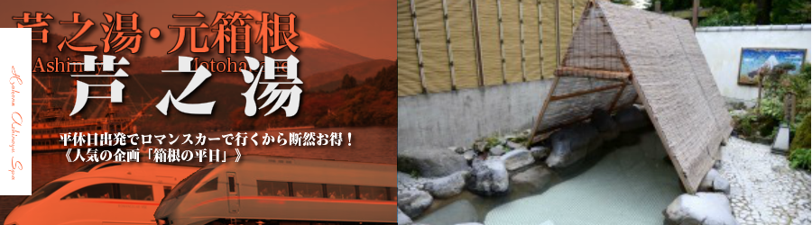 【新宿･首都圏発】芦之湯温泉へ小田急ロマンスカーで行く格安ツアー