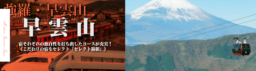 【新宿･首都圏発】箱根温泉へ小田急ロマンスカーで行く格安ツアー