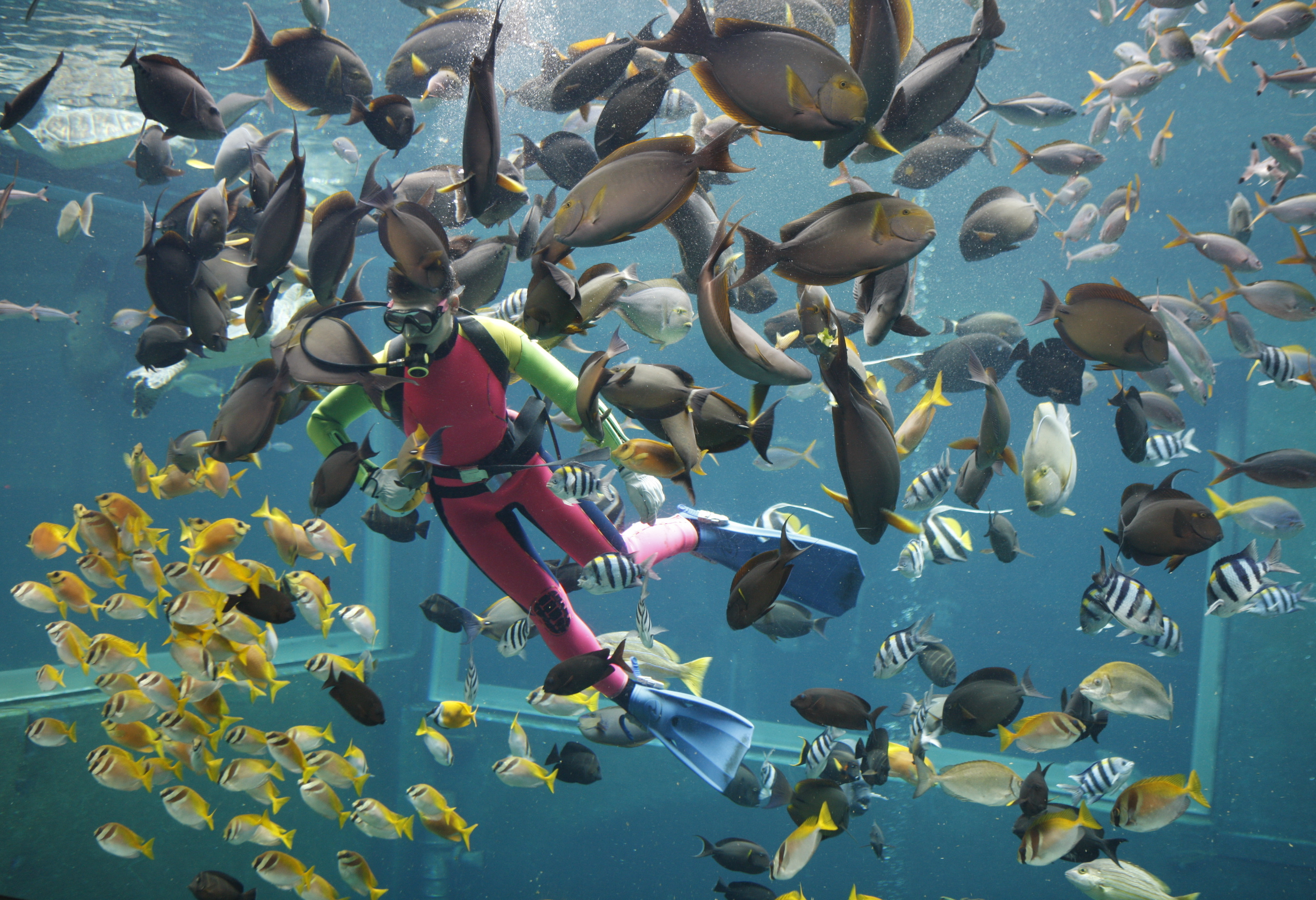 箱根園水族館