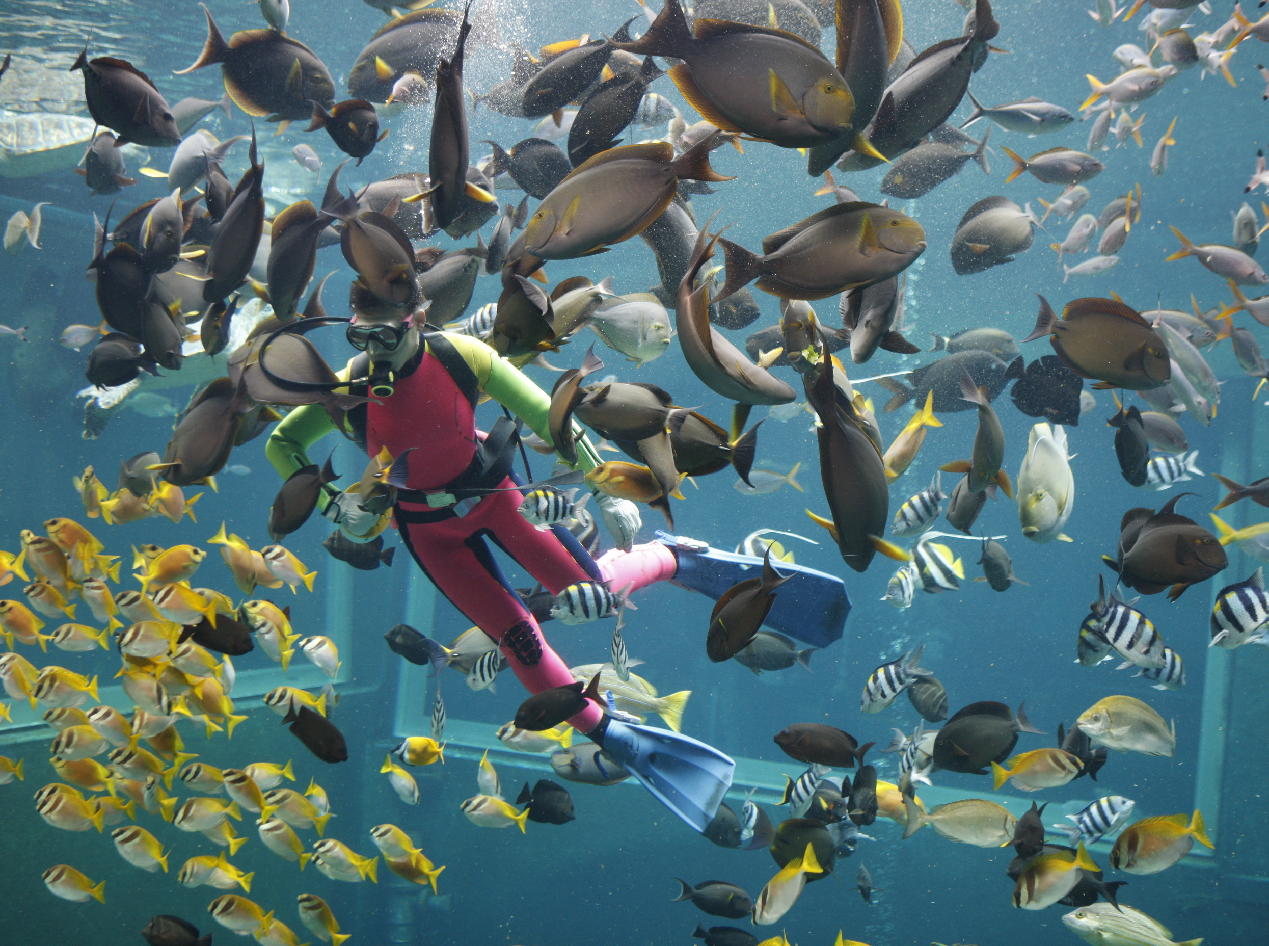 箱根園水族館