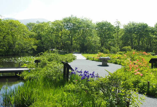 箱根湿生花園