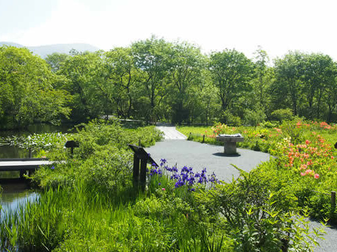 箱根湿生花園