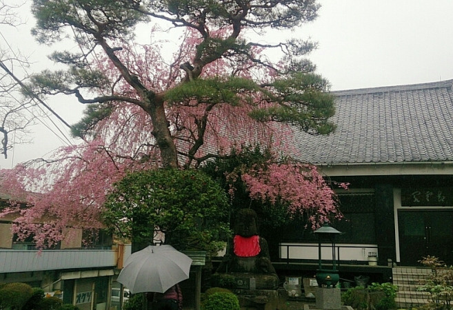 正眼寺