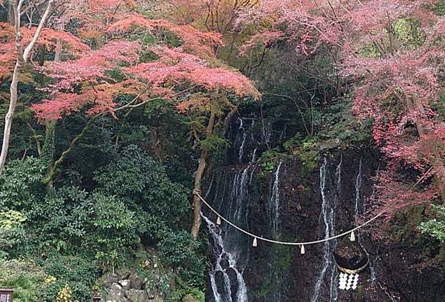 玉簾の滝