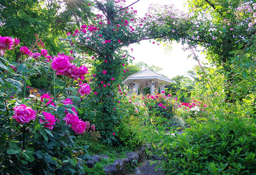 箱根強羅公園