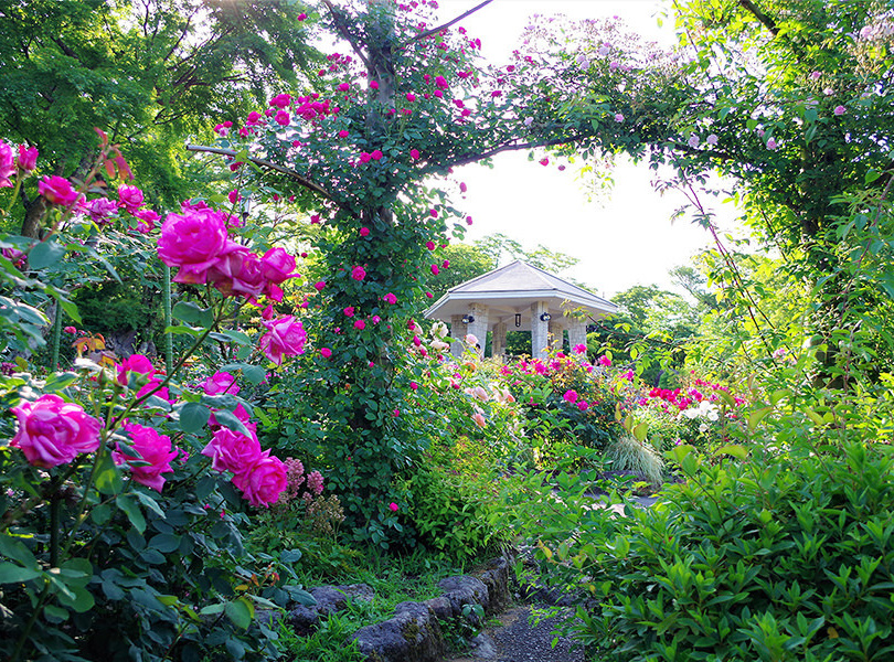 箱根強羅公園
