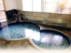 飲泉、自家源泉かけ流しの秘湯 観音温泉:乙女風呂