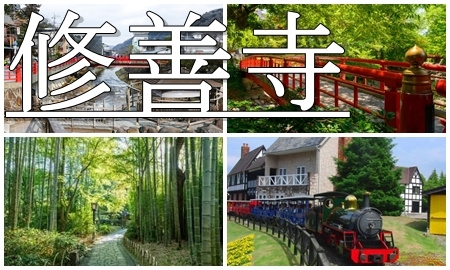 修善寺温泉へ行くJR+宿泊セットの格安パックツアー