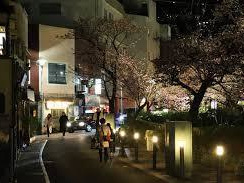 糸川遊歩道