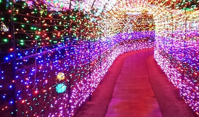 伊豆ぐらんぱる公園