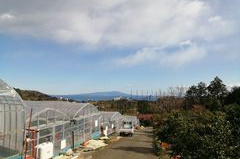 樋の口園