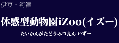 体感型動物園iZoo(イズー)