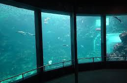下田海中水族館