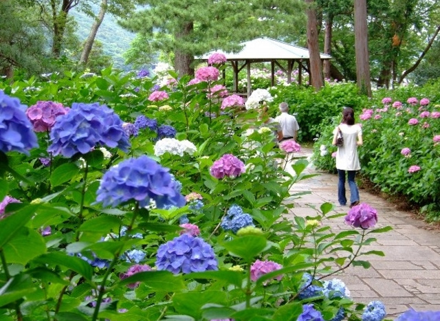 下田公園