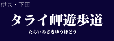 タライ岬遊歩道