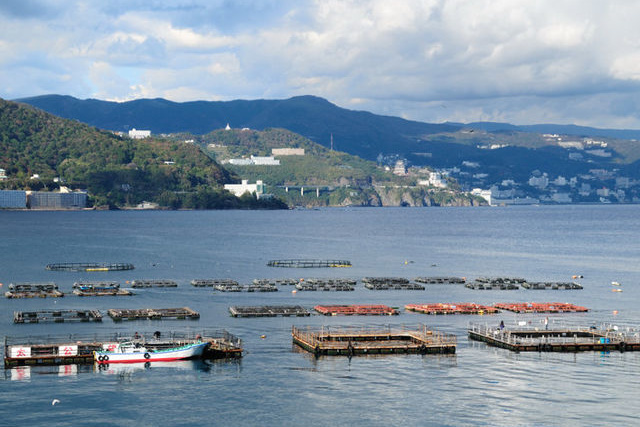 海上釣り堀太公望 伊豆 網代周辺 アクセス情報 施設情報 格安宿泊情報 往復jr 宿泊セットプラン