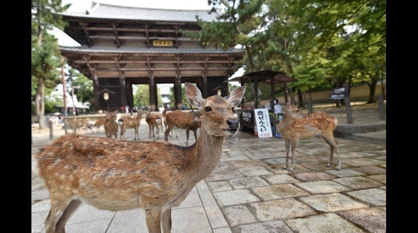 すすきの